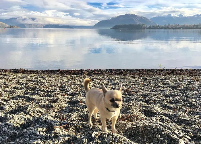 民宿 Ruby's Lake 瓦纳卡